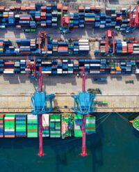 Diferencias entre una exportación de arte temporal y definitiva